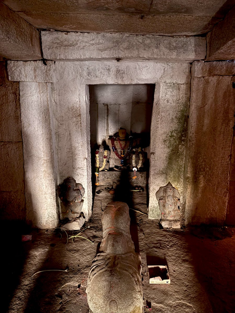 Shalini Singh tweet media