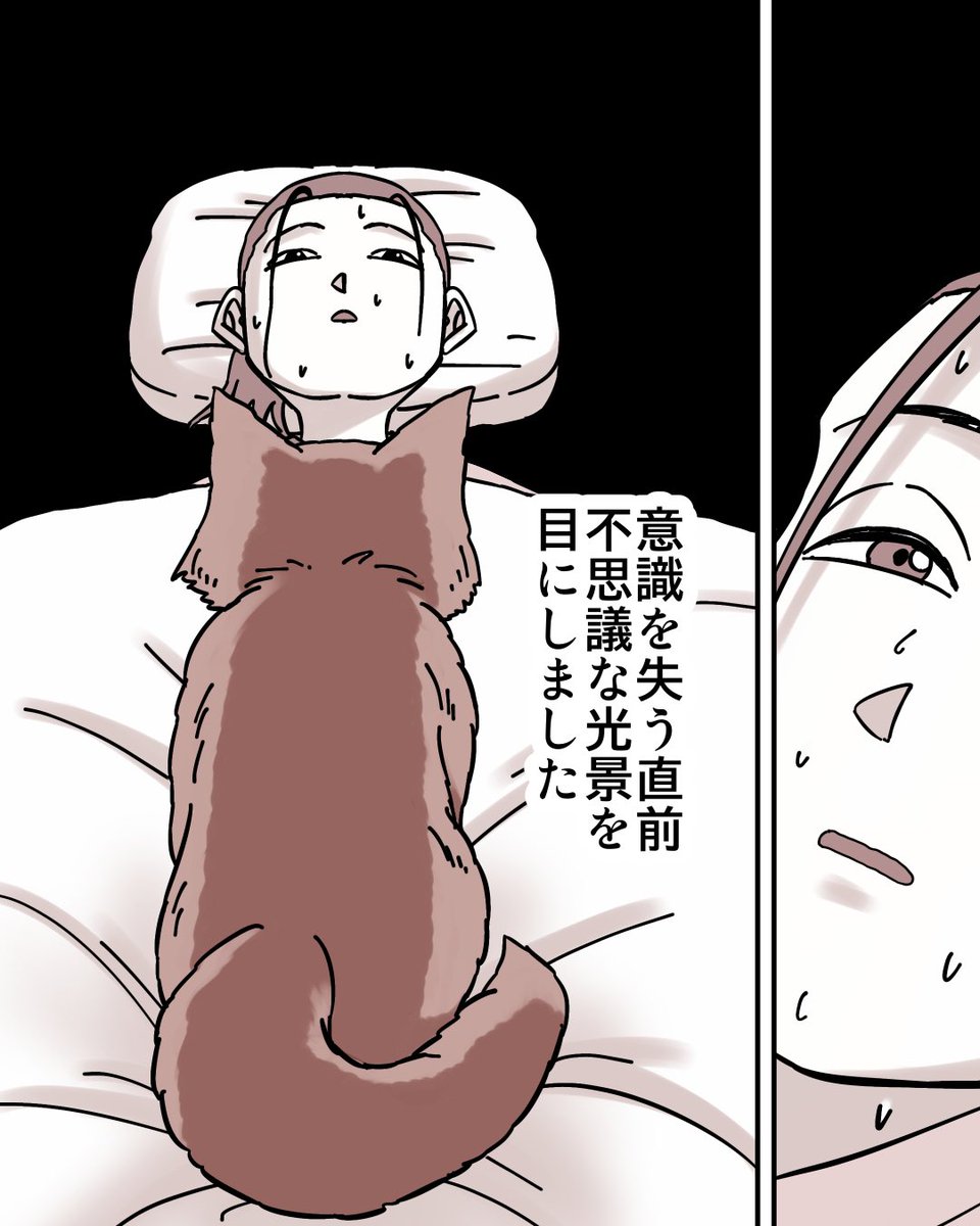 キツネに恩返しされた話②0/3 