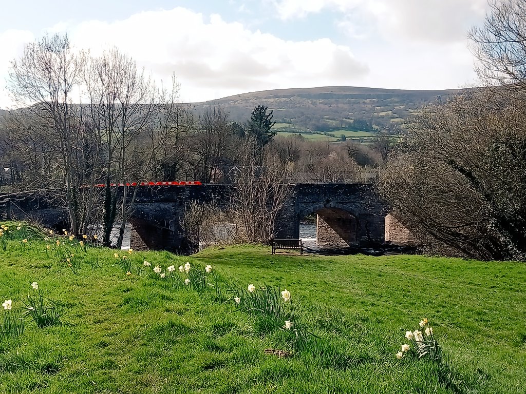 Donna Mary tweet media