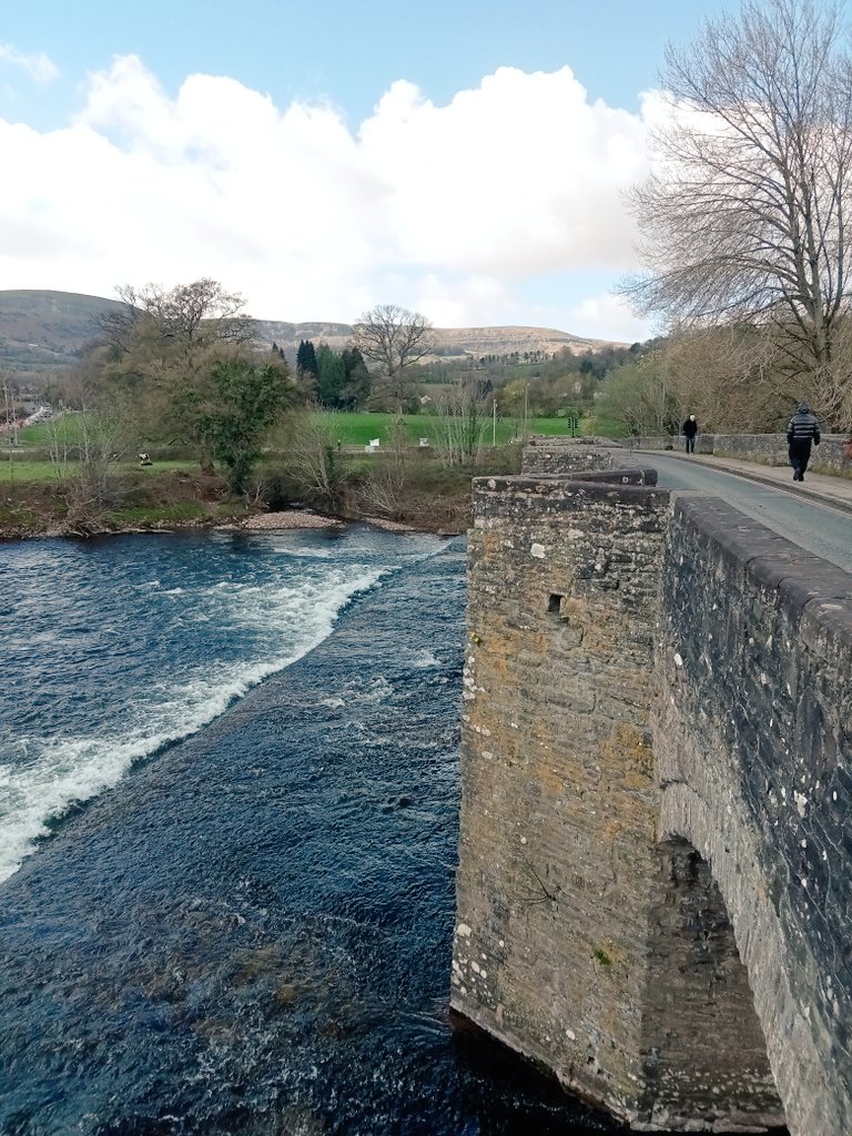 Donna Mary tweet media