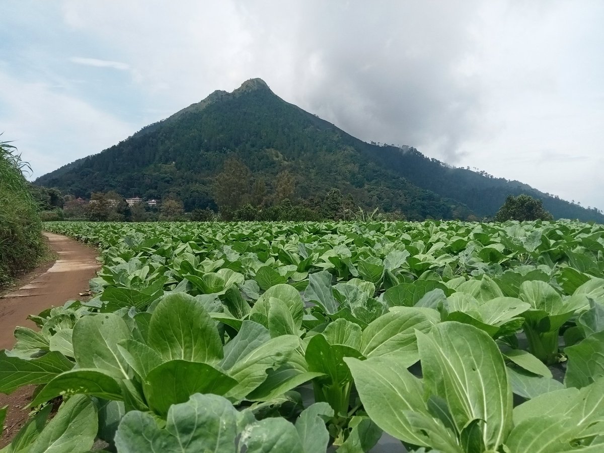 AbU JenaR tweet media