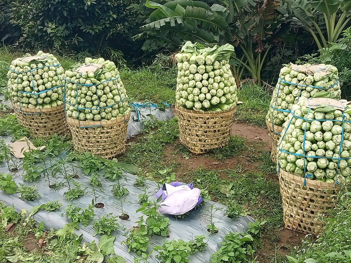 AbU JenaR tweet media