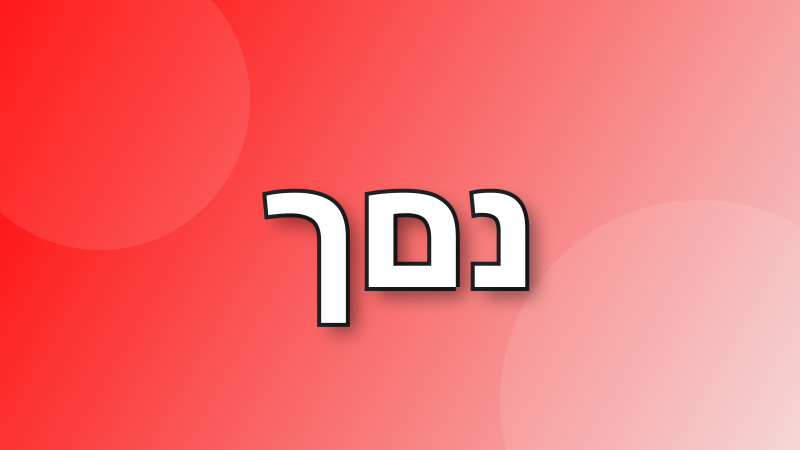 ששל בוט tweet media
