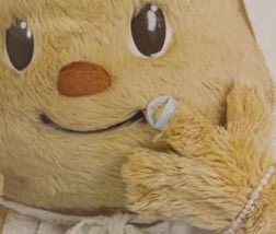 ไหล่ไม่ว่าง บัดซบอยู่! tweet media