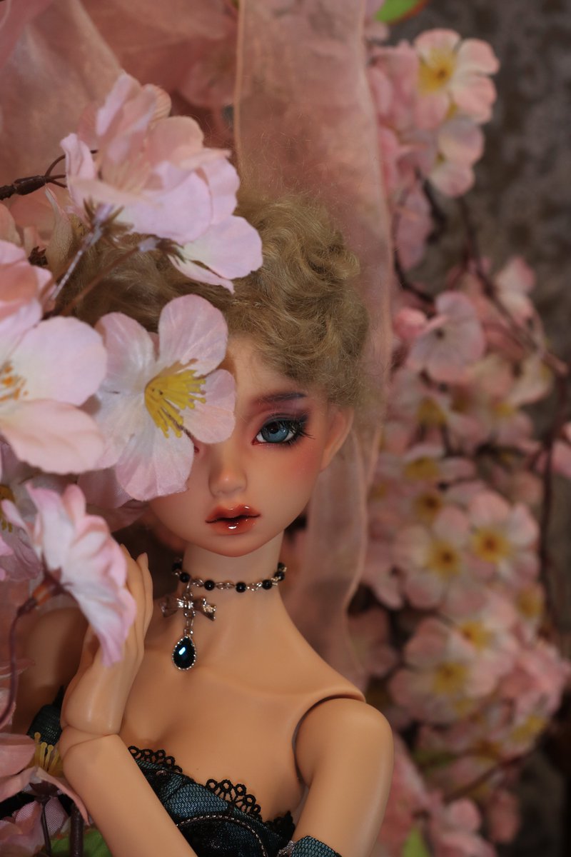 あるてみす tweet media