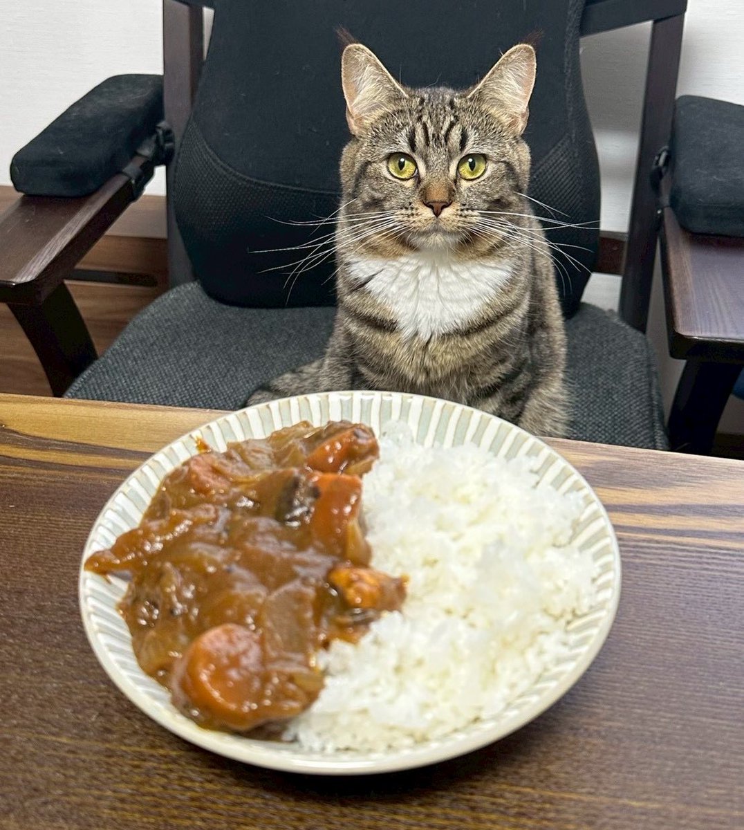 アイキッド（ザ・リーサルウェポンズ） tweet media