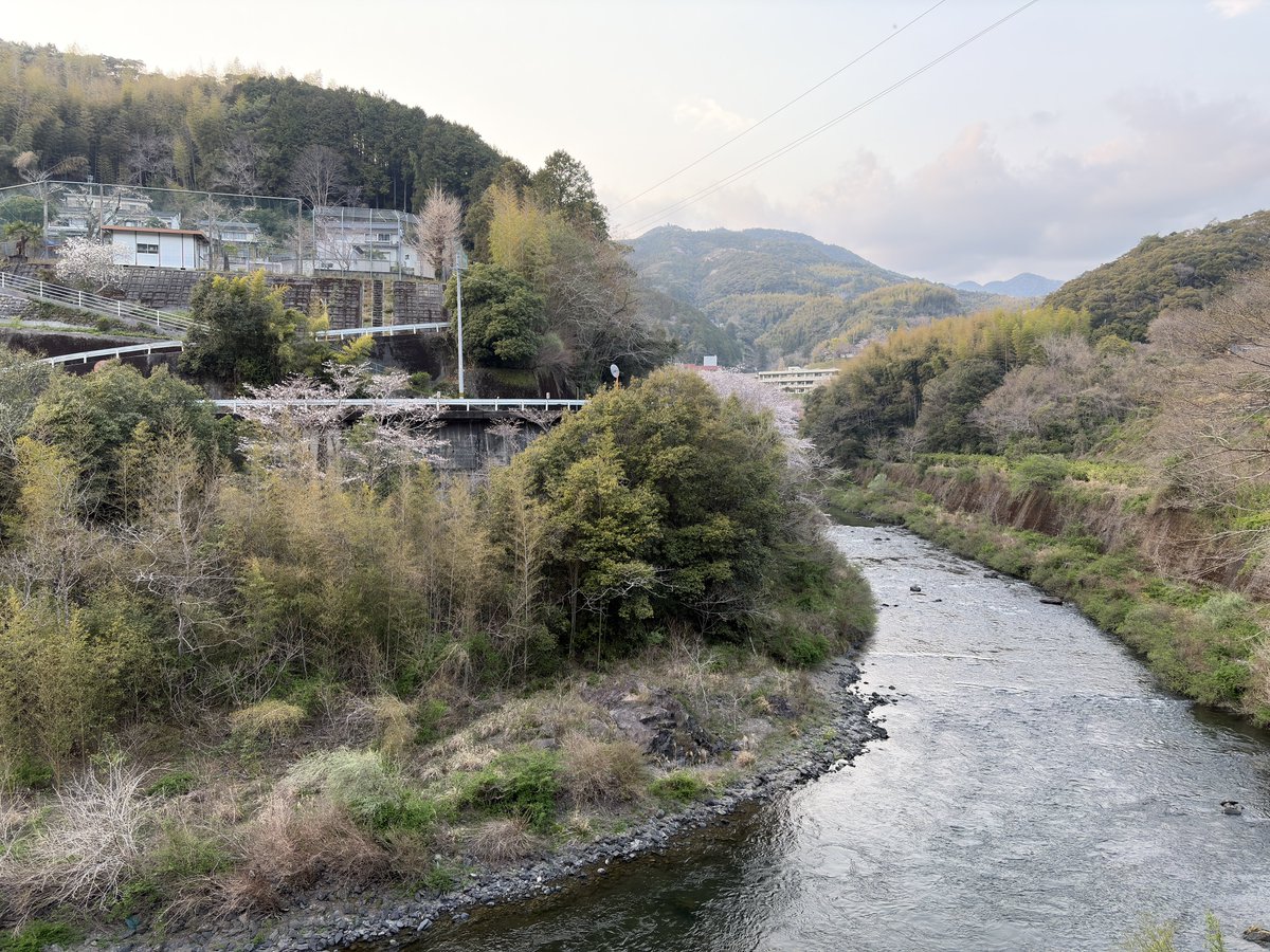 ど田舎ブーメラン tweet media