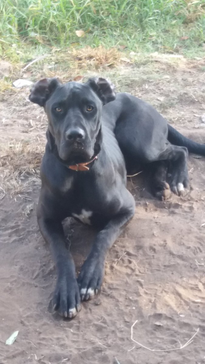 Pierre Rossouw 💯 tweet media