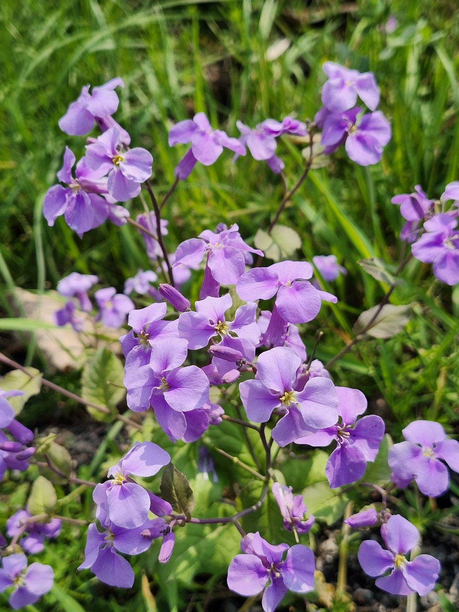 るんりん tweet media