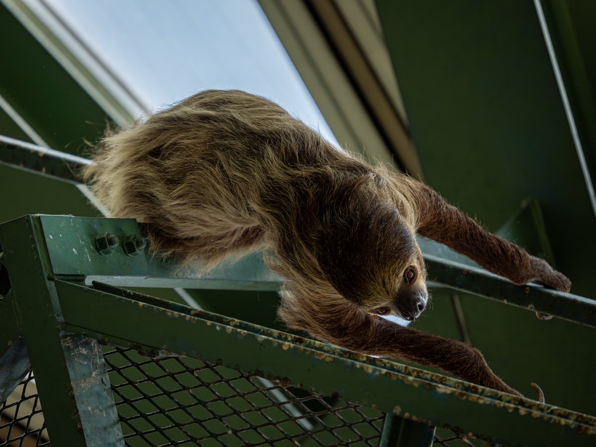 kanbin@(￣ ￣;) tweet media