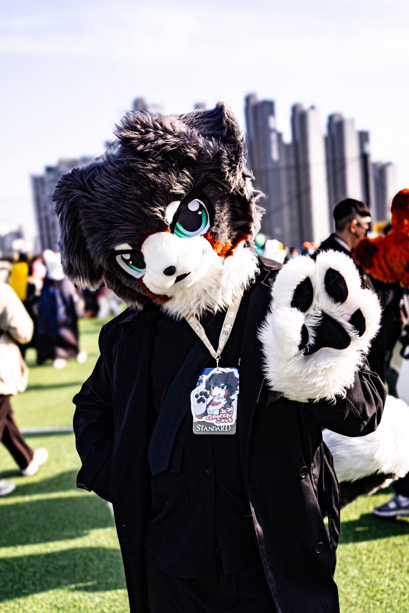 퀘이버 tweet media