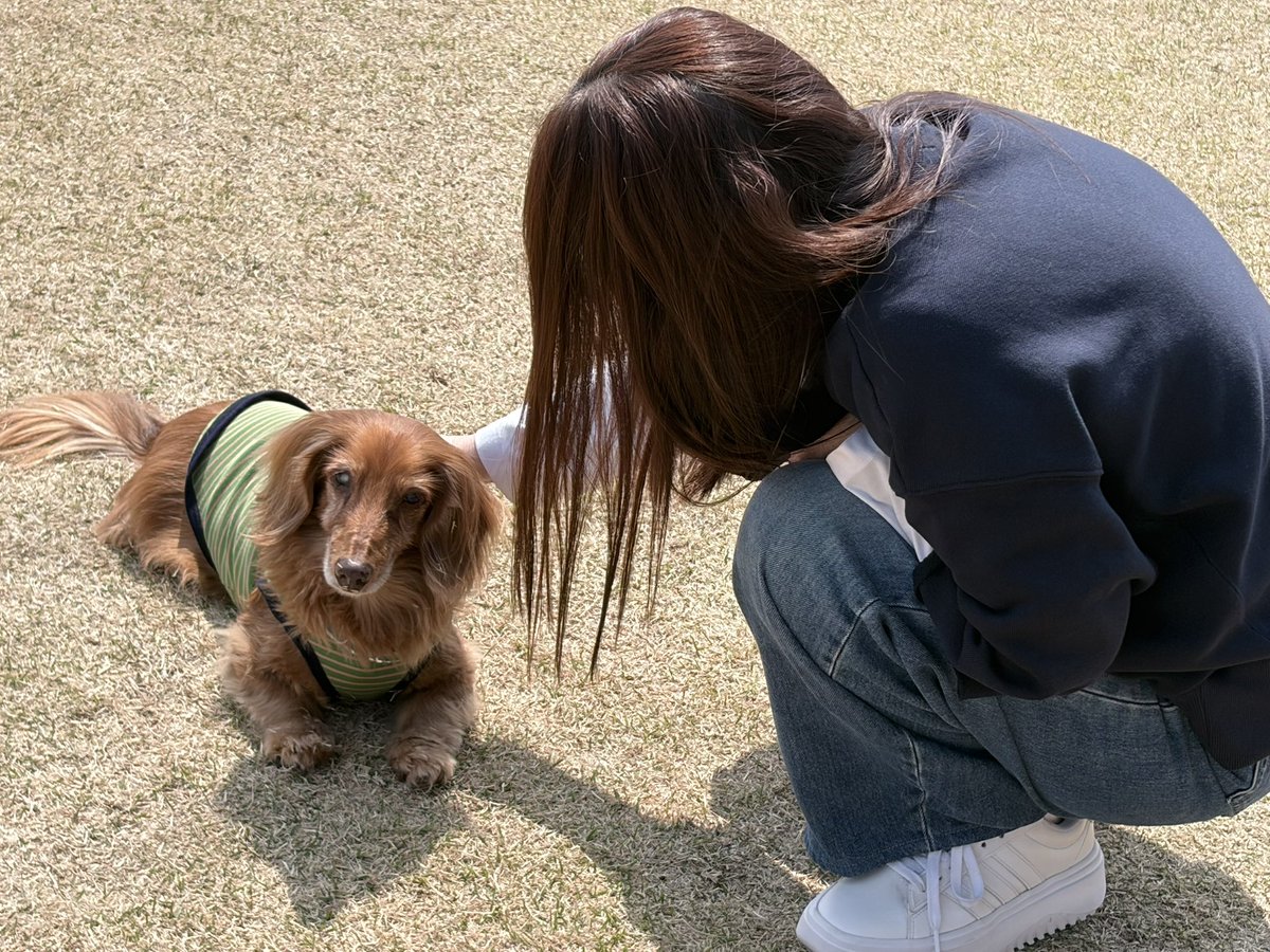 こつぶまま tweet media