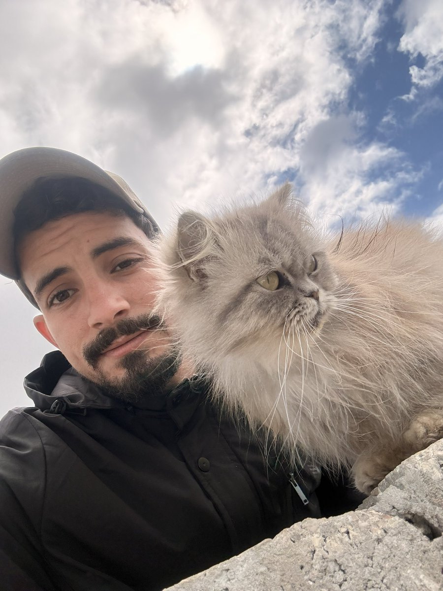 SHARIF 𓂆 tweet media