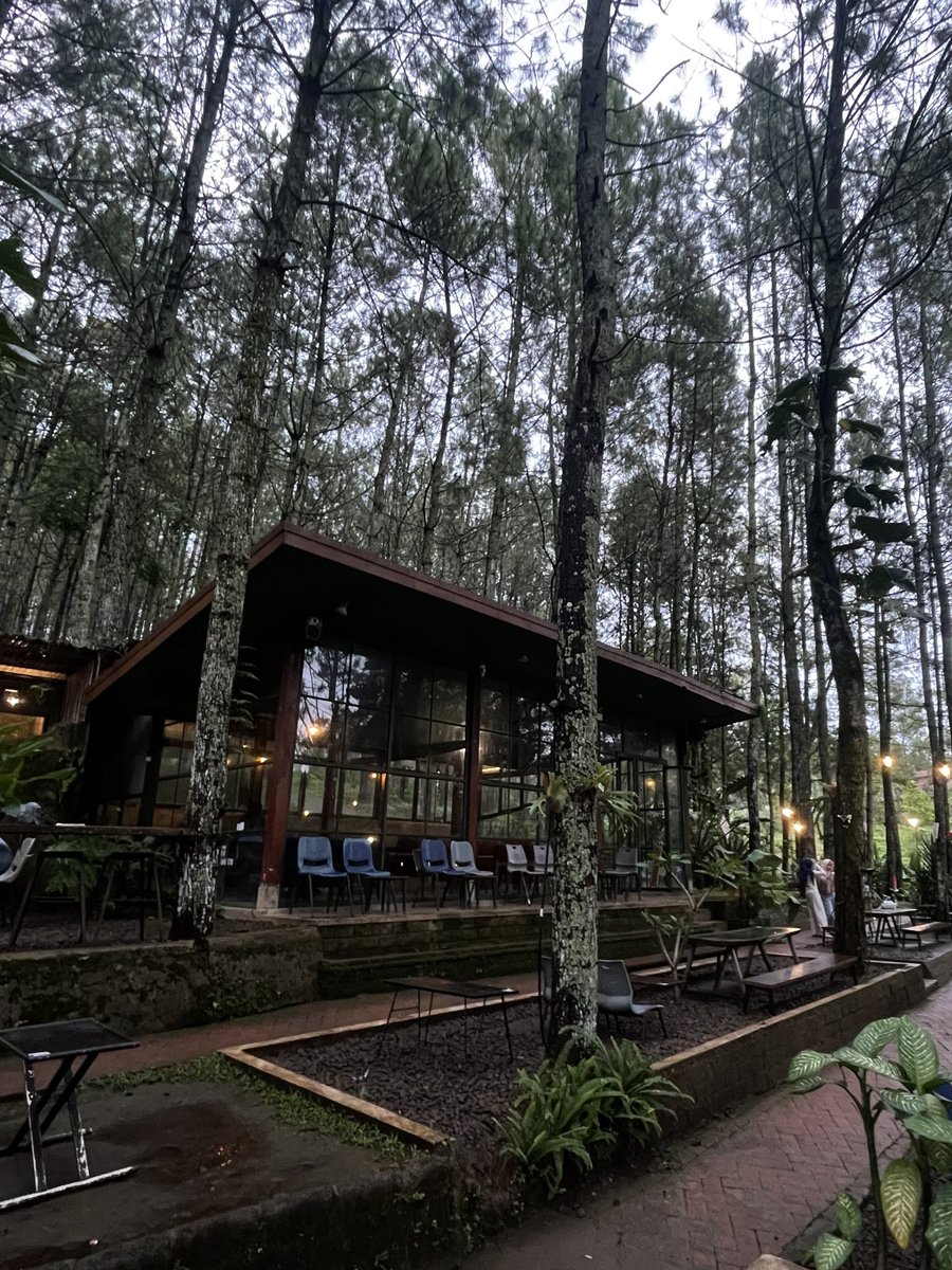 achilles 🗡️ tweet media