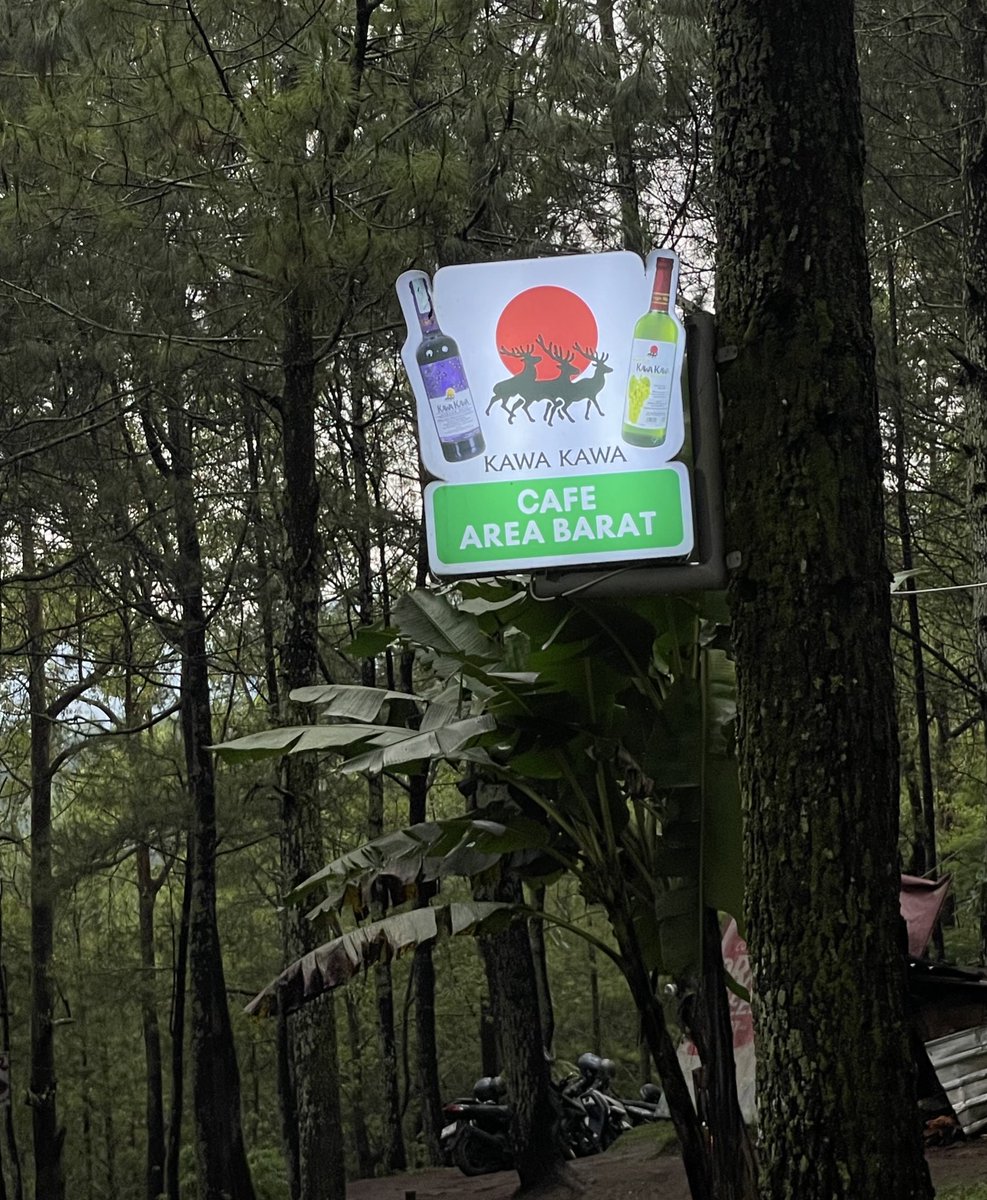 achilles 🗡️ tweet media