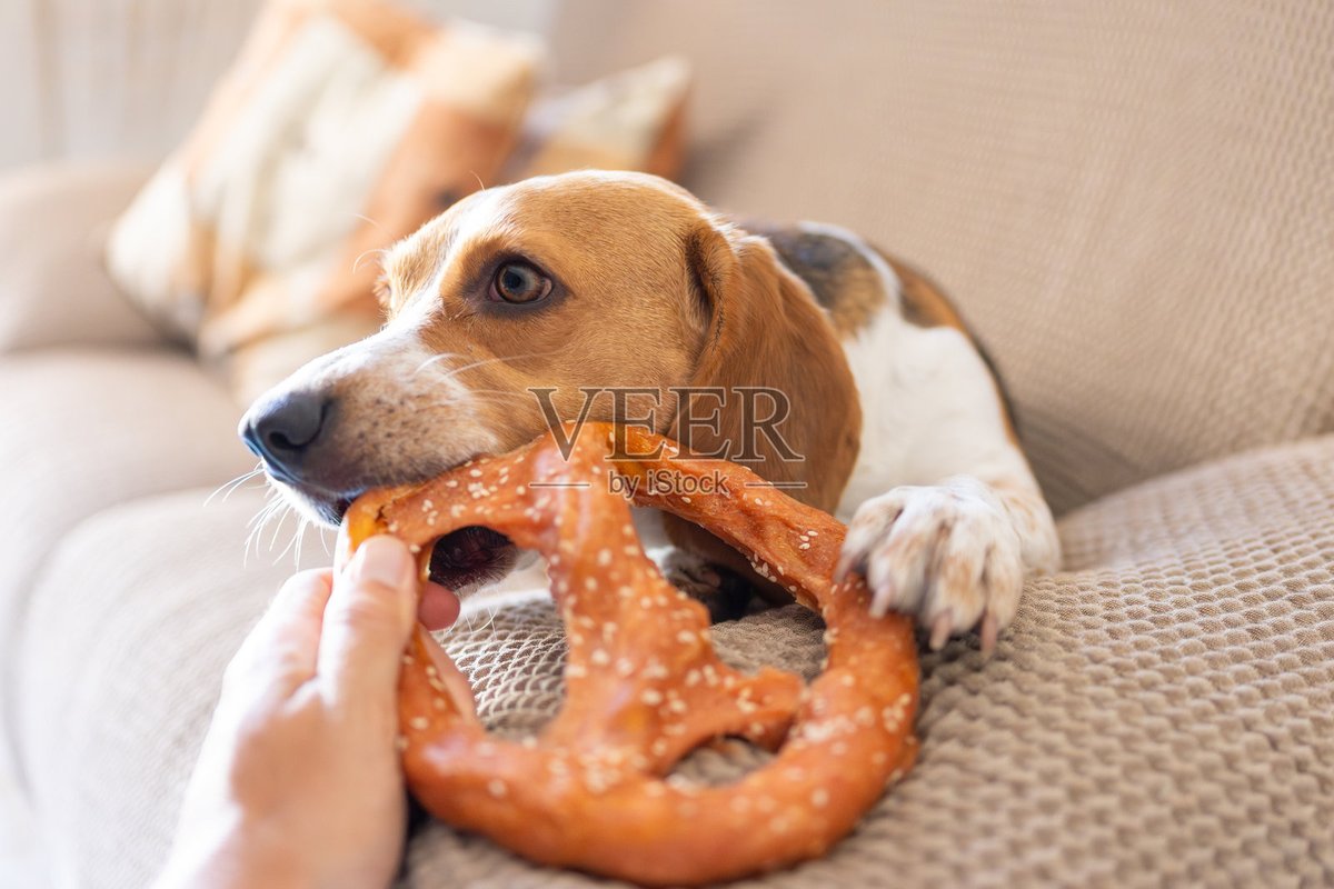 Strangers 2 The Game tweet media