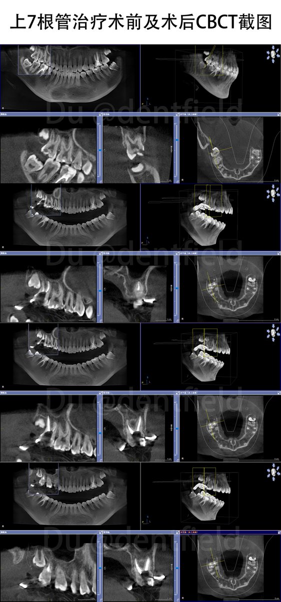 lufie🐼 tweet media