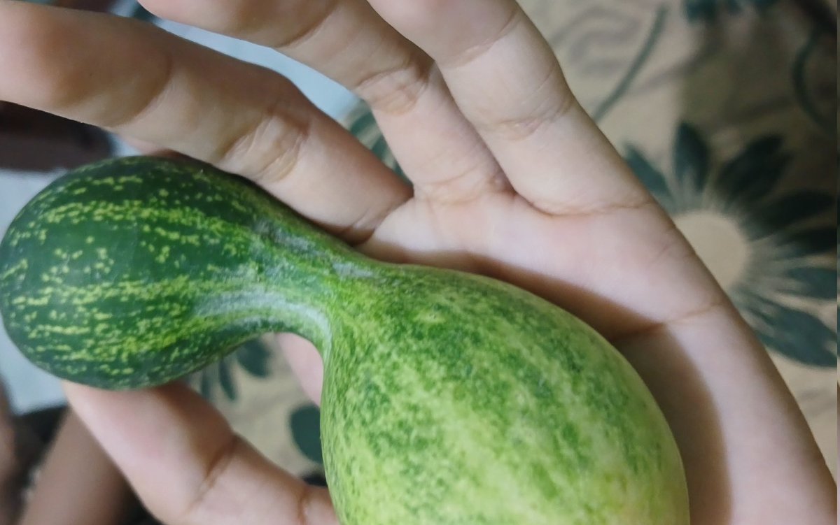 𝓝ona 🍓🫧💭🧑🏻‍🍳🐈 tweet media