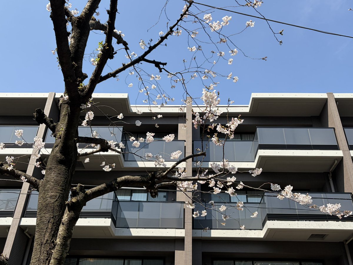 しながわAM332@JJ1xxx / 無線系写真系電化モノEV車カブ主垢/棄民のロスジェネ世代 tweet media