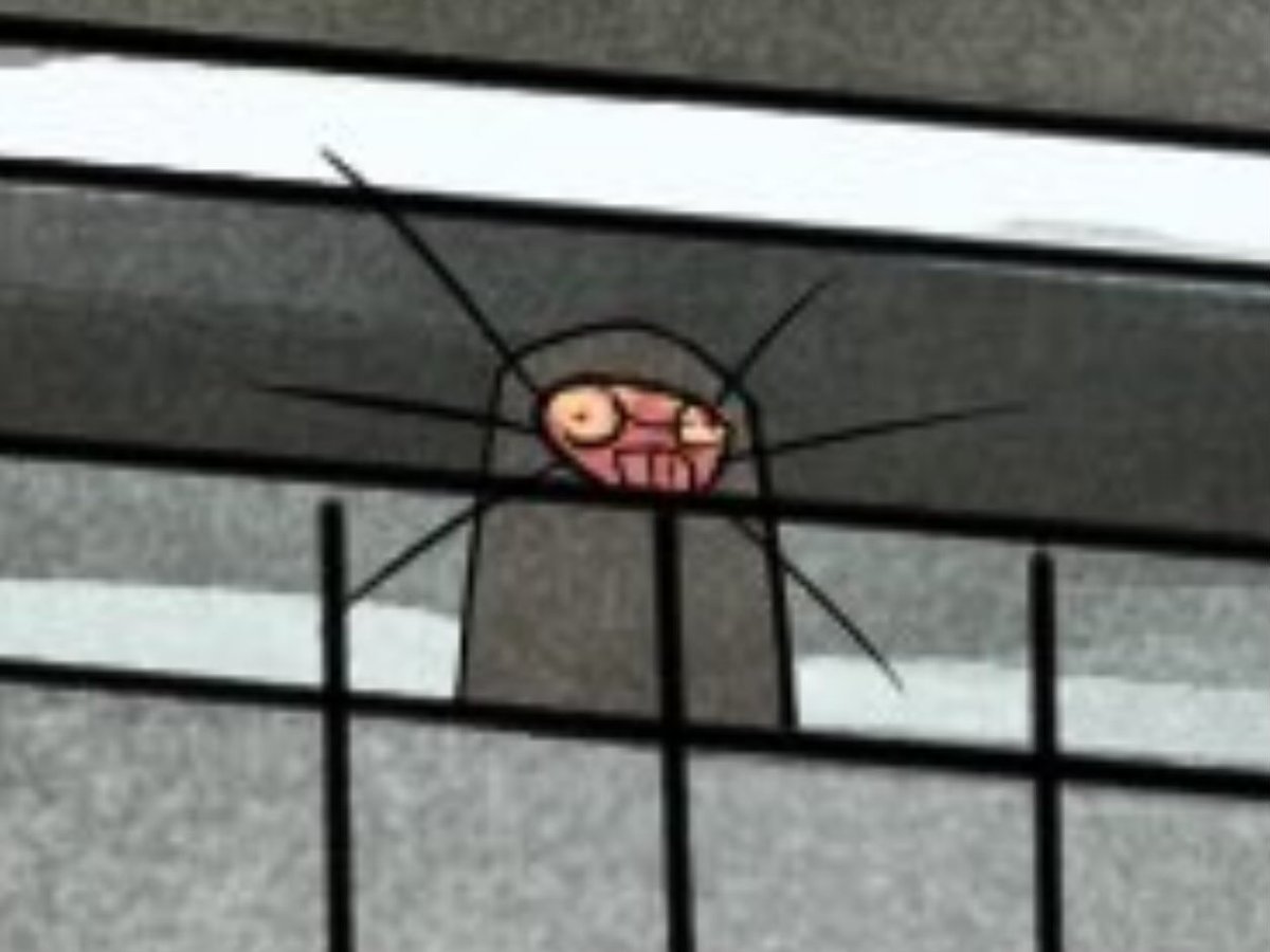 Nem • 🍉 tweet media