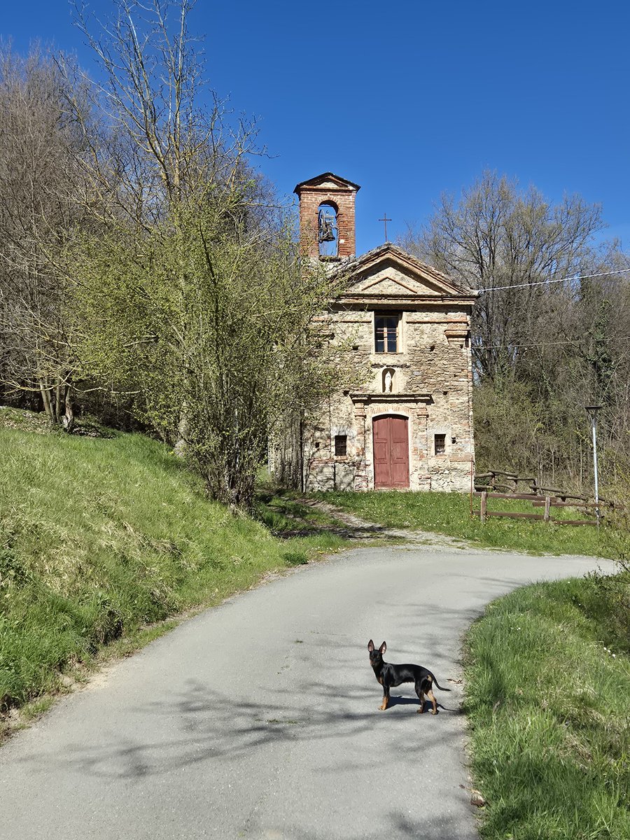 Rosella Milano🌹🌶🧜♀️💃 tweet media