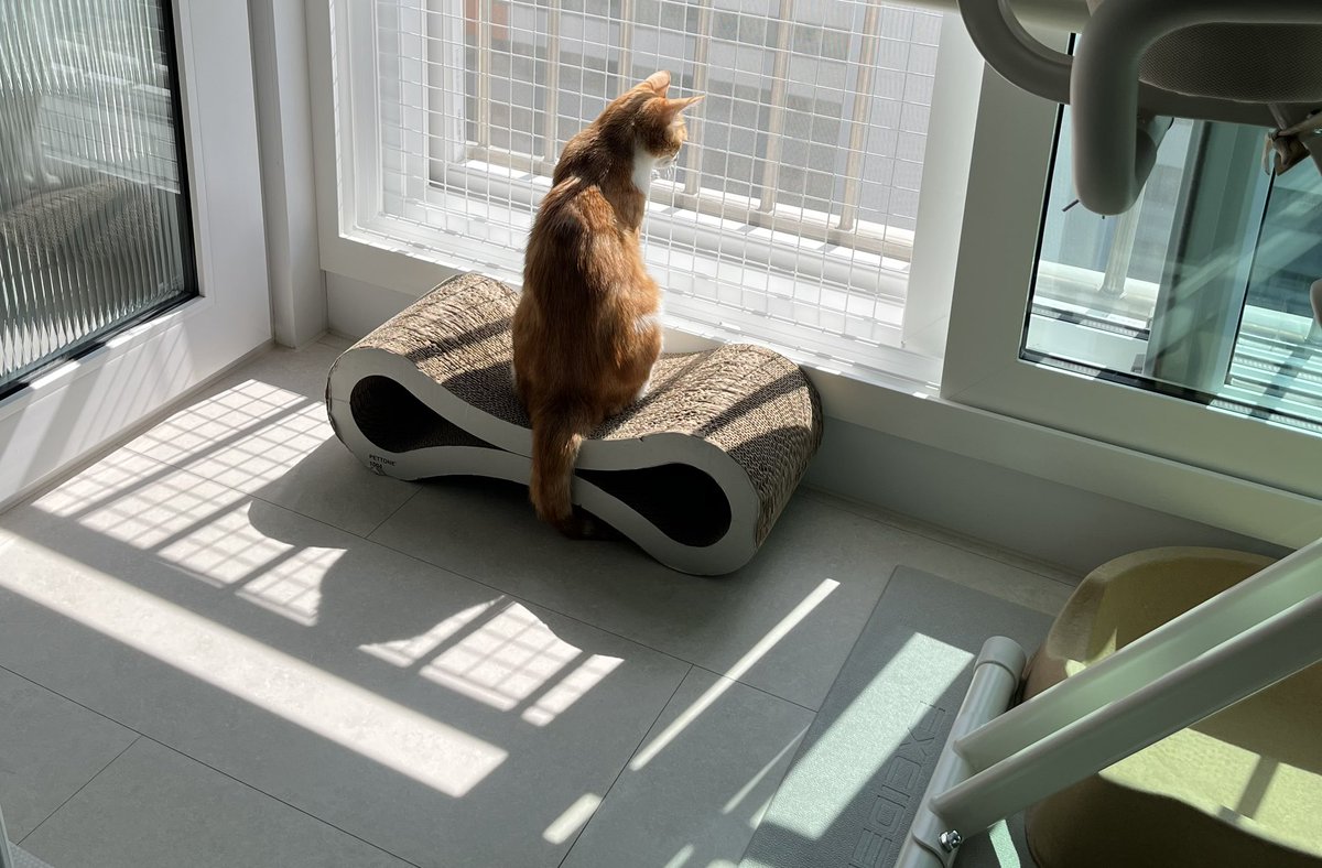 뭐가 보이긴 하나벼