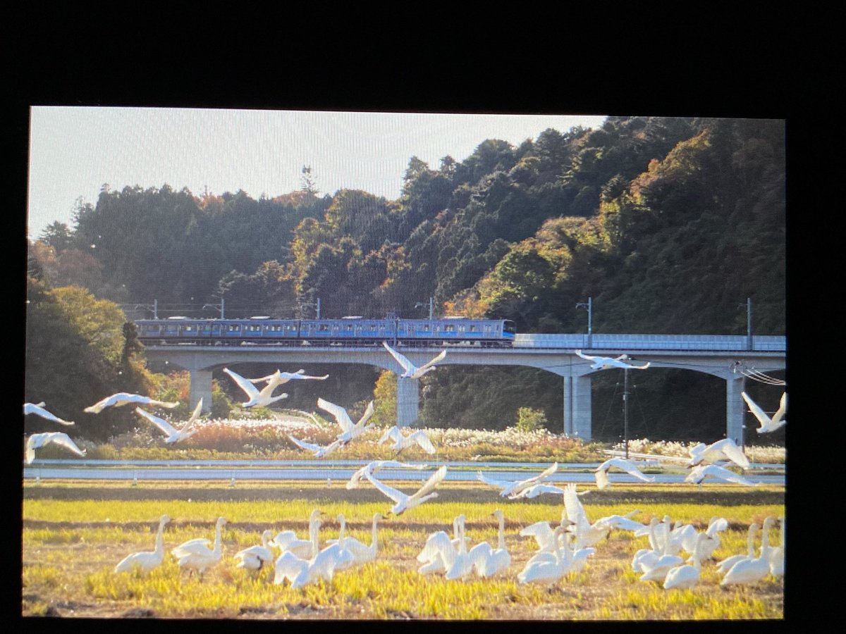205keiproject's tweet photo. ありがとう仙石線205系 https://t.co/Ymck9oXQRH