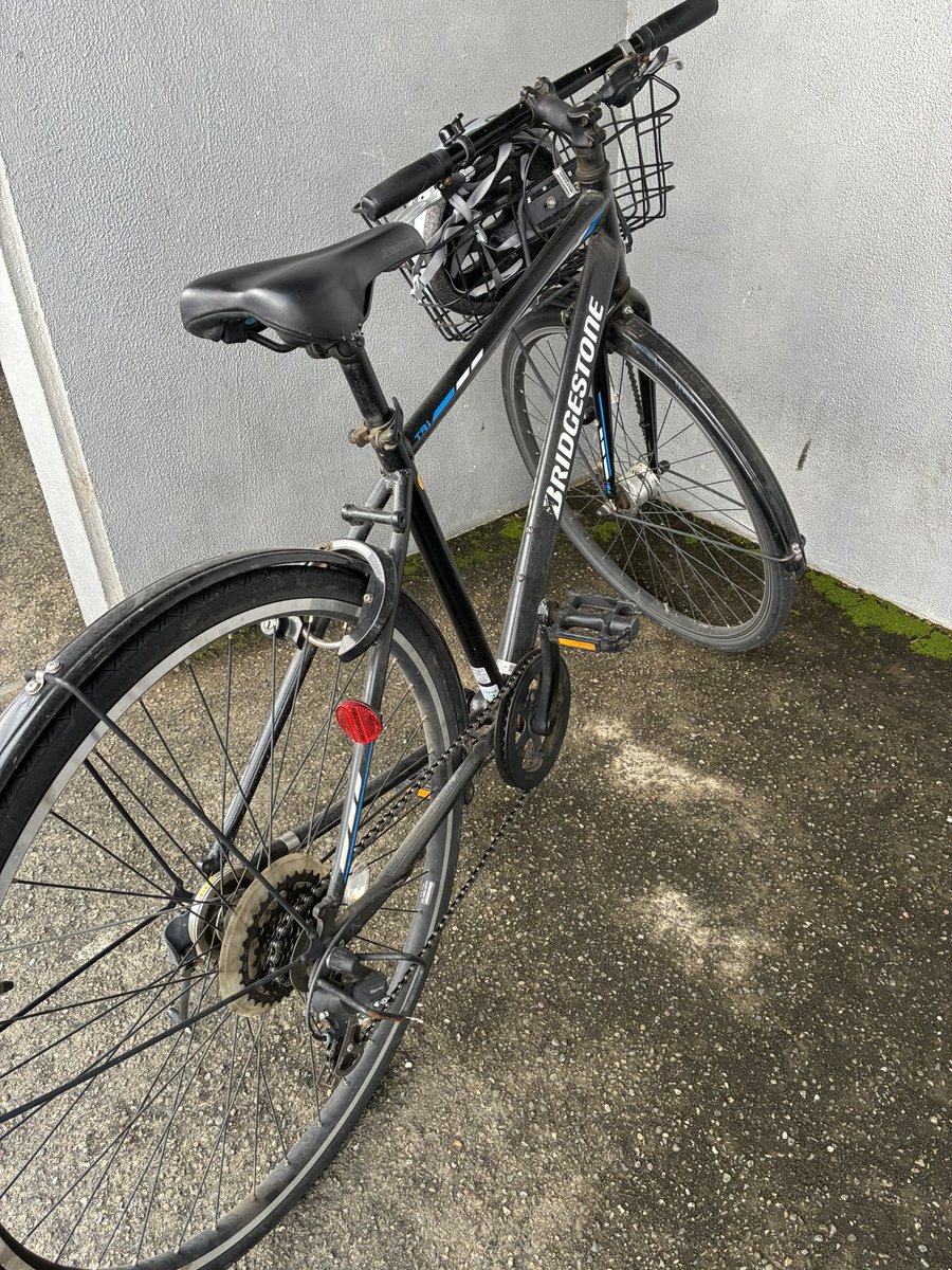 マイケルランダム tweet media