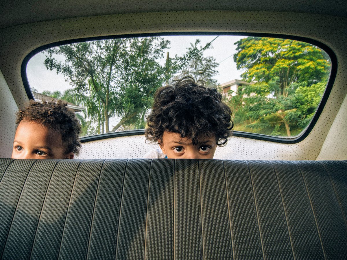 Frankito, o Curioso® tweet media