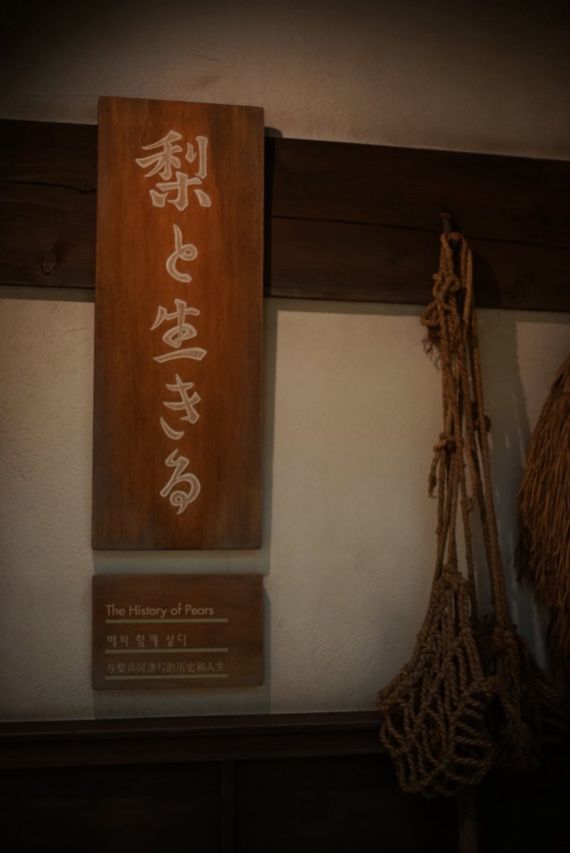 sine_wave's tweet photo. 梨について学ぶ https://t.co/mbTn6aiOWw