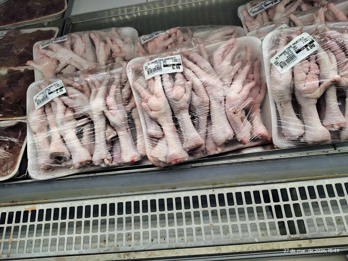 Observador tweet media