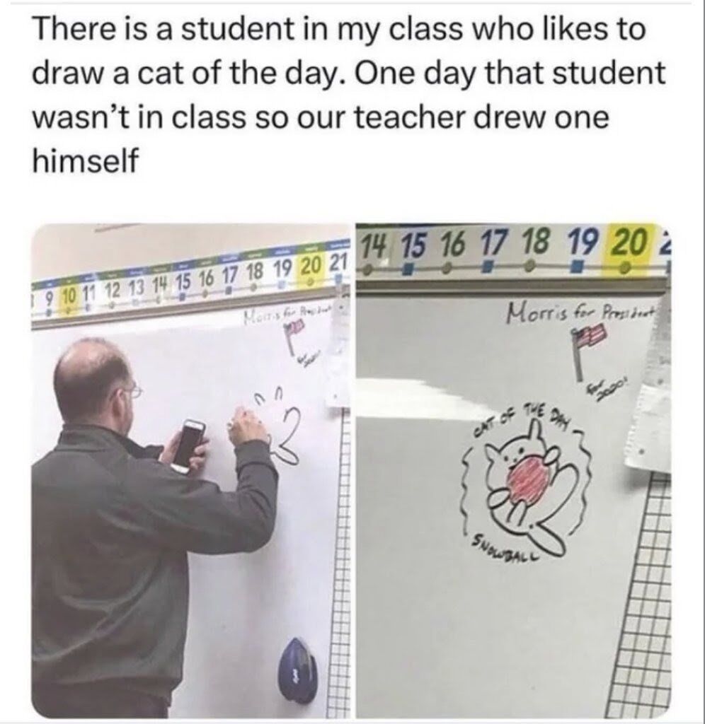 WholesomeMemes tweet media