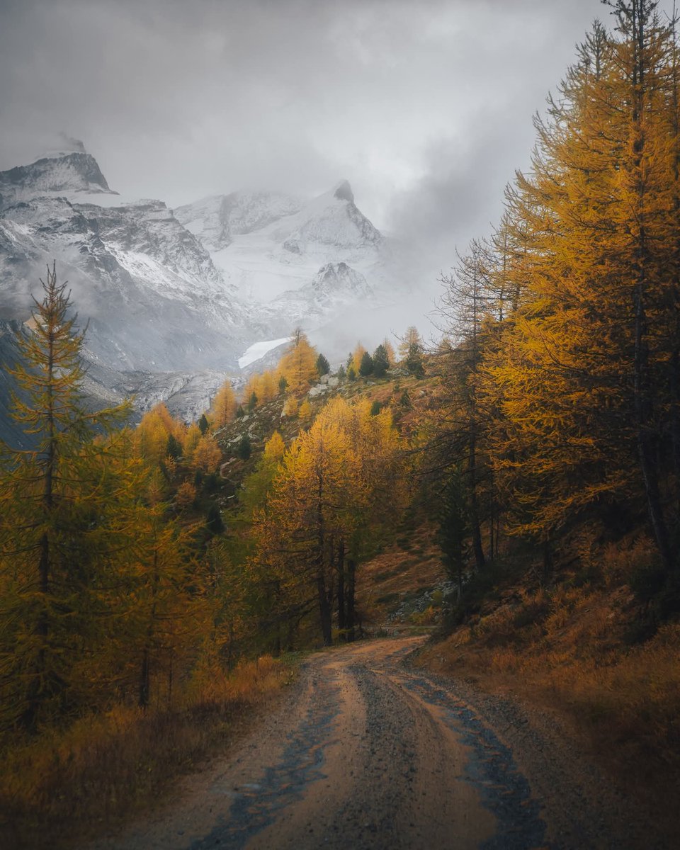 Purely Green tweet media