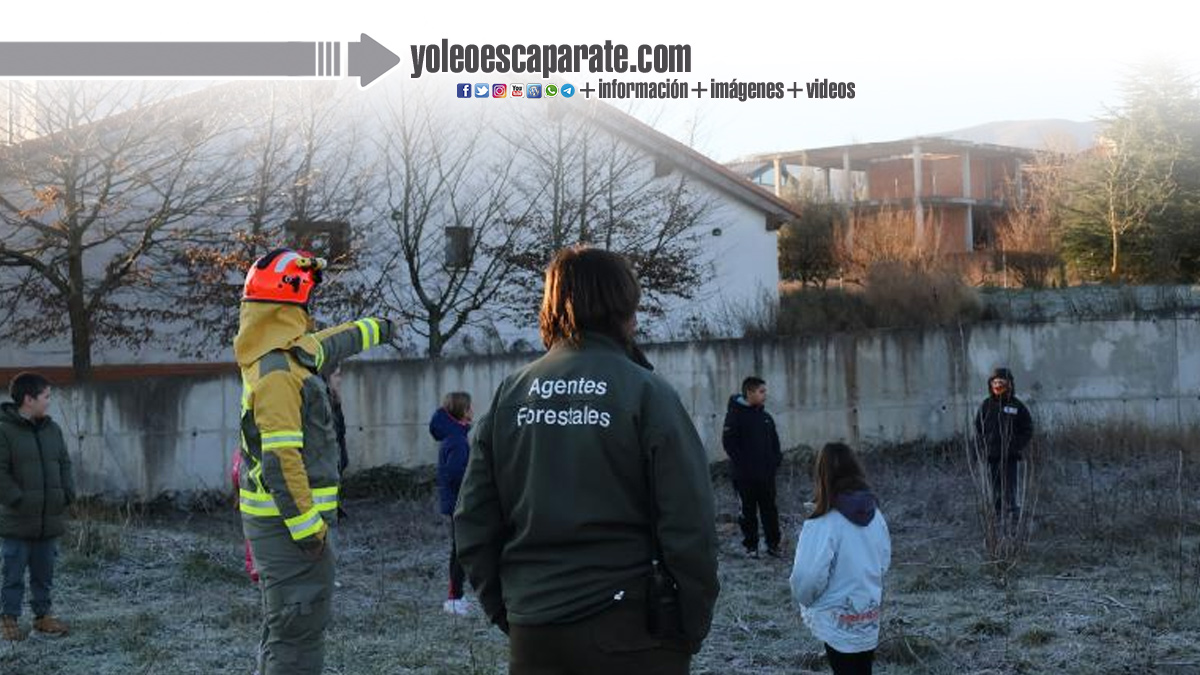 Escaparate -yoleoescaparate.com tweet media