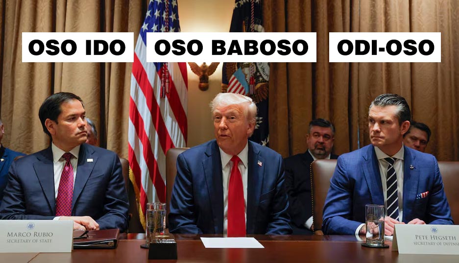 Palindrotiras tweet media