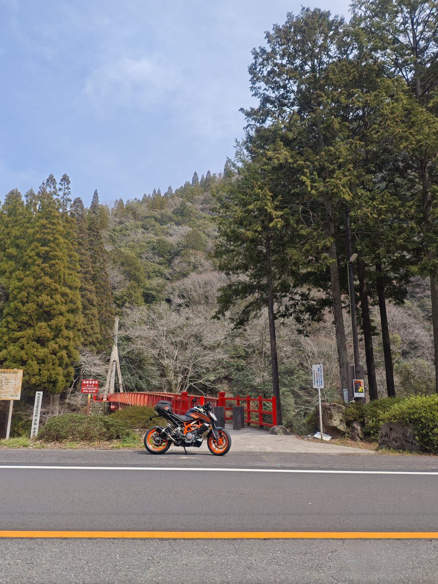 マエダ・マン🏍️💨 tweet media