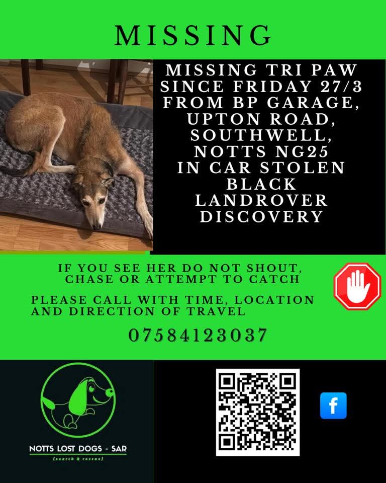 HunnyJax's tweet photo. ๐๏ธ #helpfindGypsy โผ๏ธTRIPAW Older Adult Female LURCHER who was INSIDE a STOLEN 'BLACK DISCOVERY 4' FRI 27 March @ 1457hrs #NG25 #EastMids #SOUTHWELL BP GARAGE Distraught Owner APPEALS for CCTV/DASHCAM & EYES ALL AREAS PLEASE #pettheft #vehicletheft
Owner
https://t.co/IBBIVT1l2u https://t.co/u2oDkxJvUb