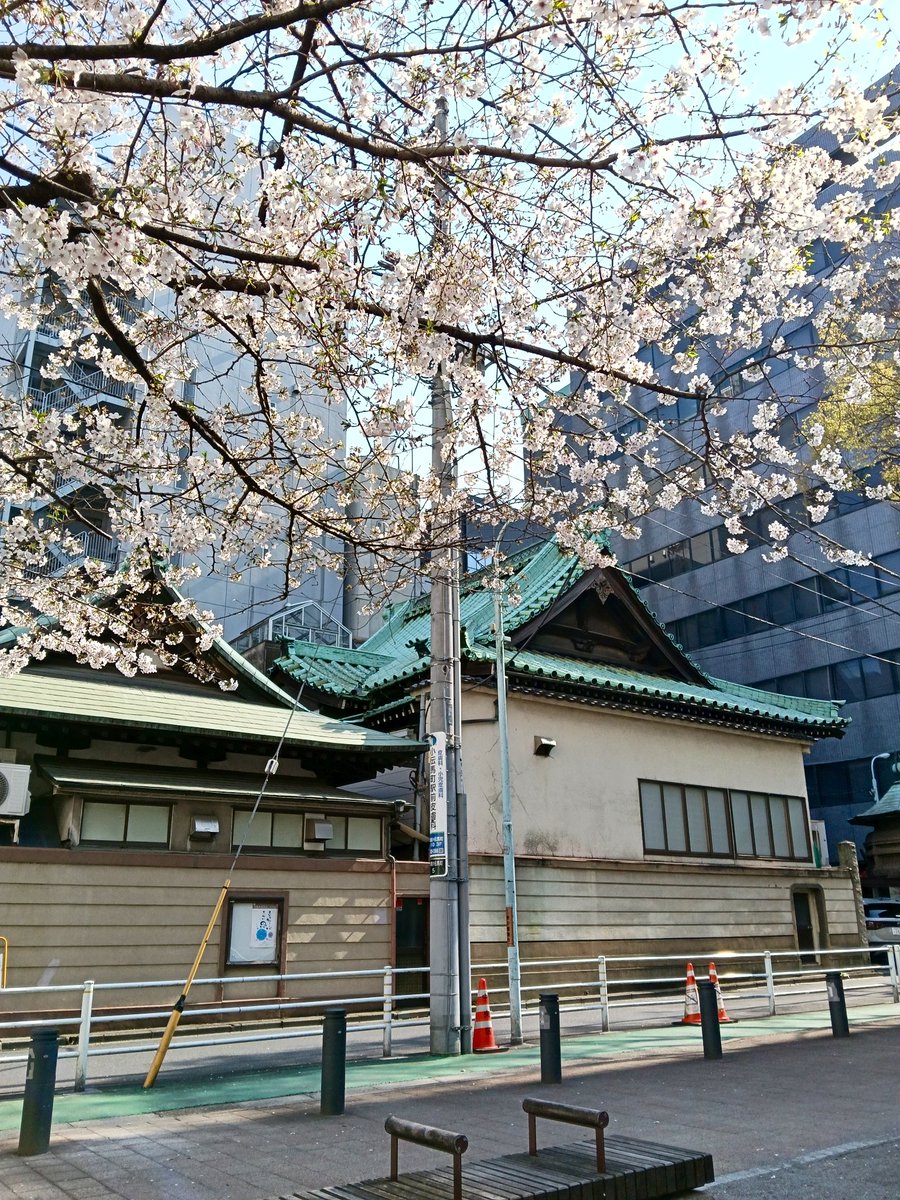 けーえす tweet media