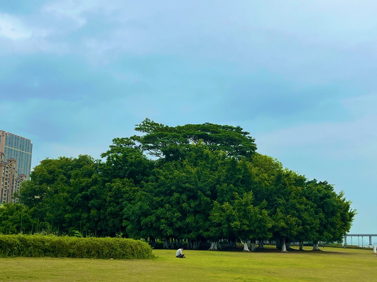 果物ーGPT 2.5 tweet media