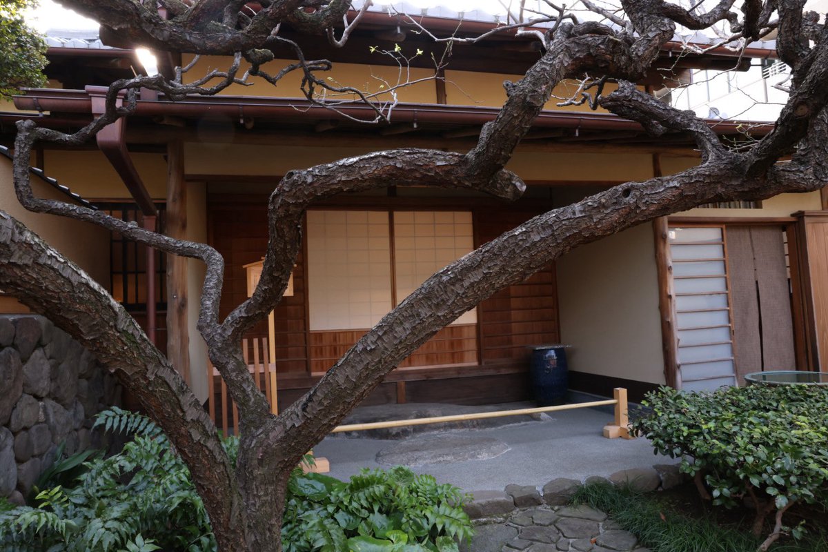 たまむし@ゆるトレード tweet media