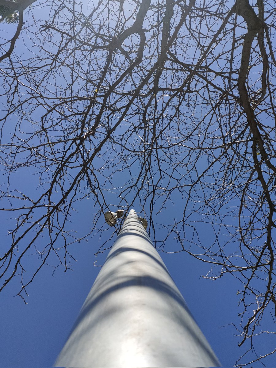 Manuel G. tweet media