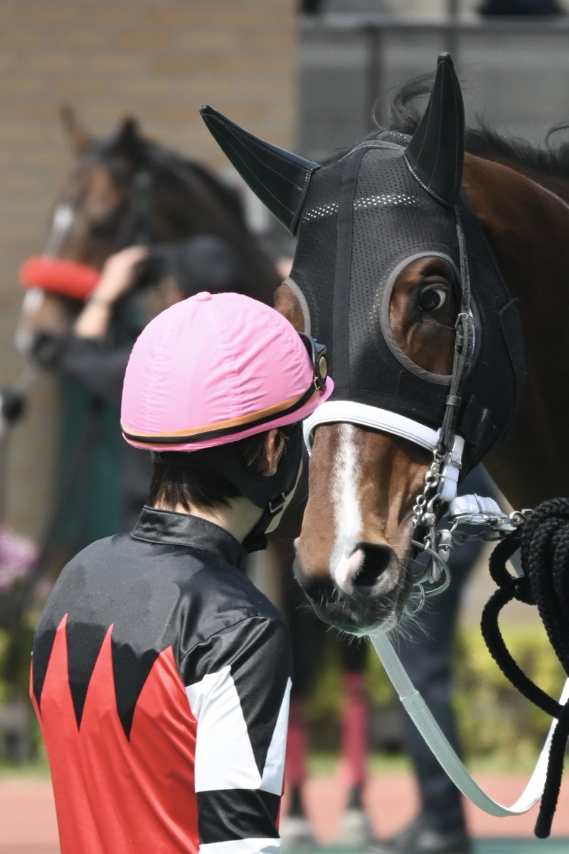 おうま tweet media