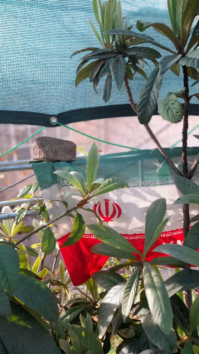 یگانه زهرا tweet media