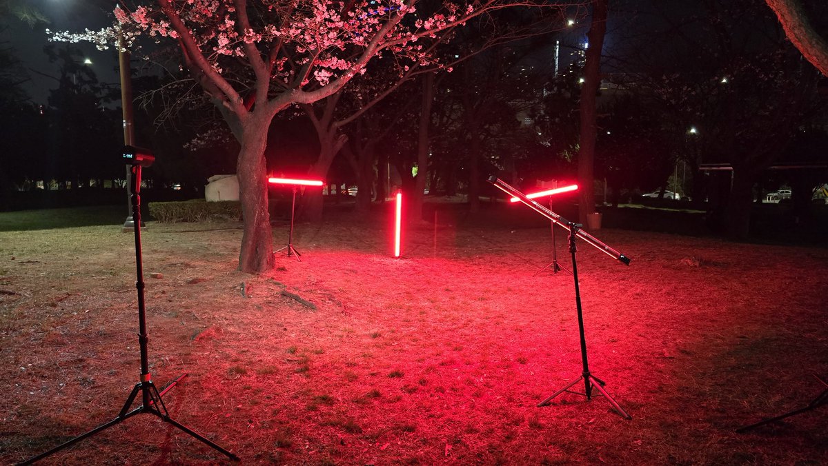 붉은혜성겨울 tweet media