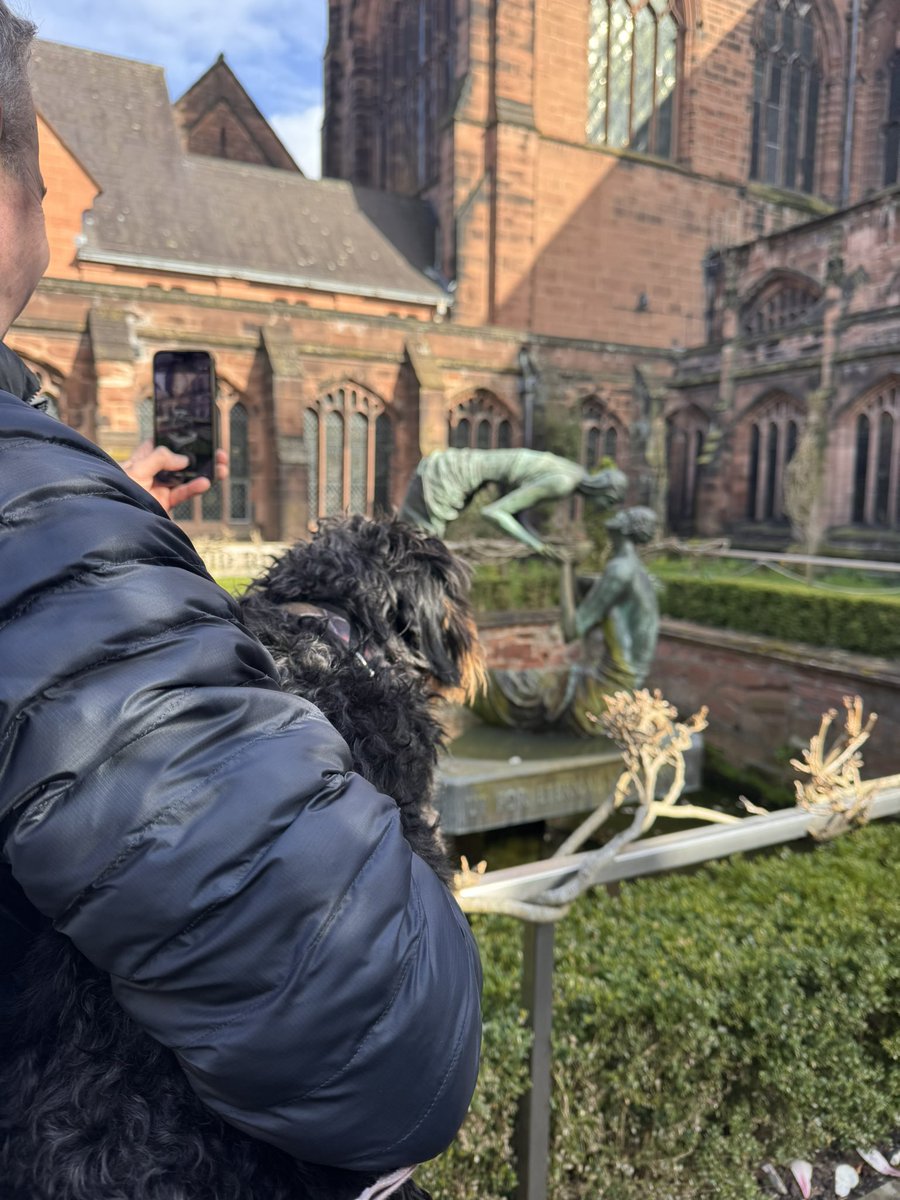 Princess Isabella Dachshund tweet media