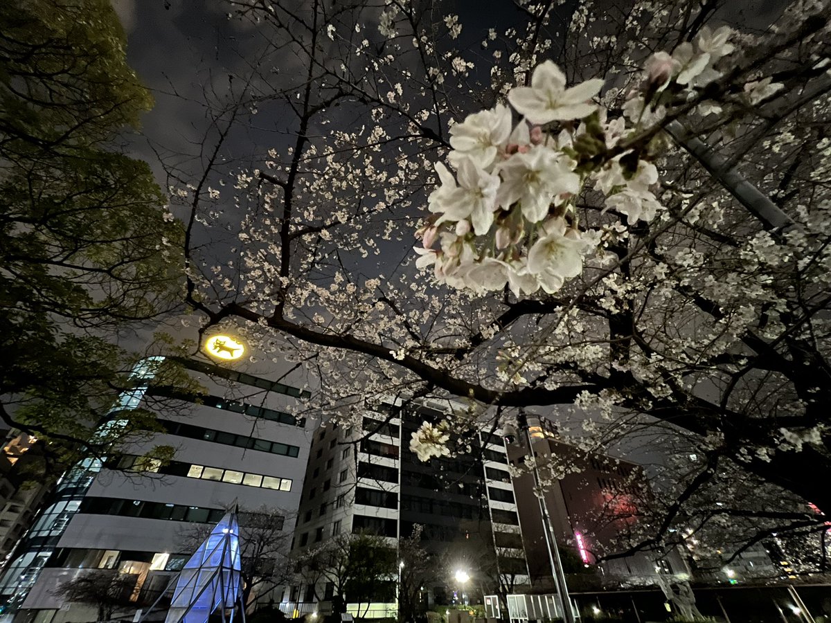 FitEar公式@(株)須山歯研 tweet media