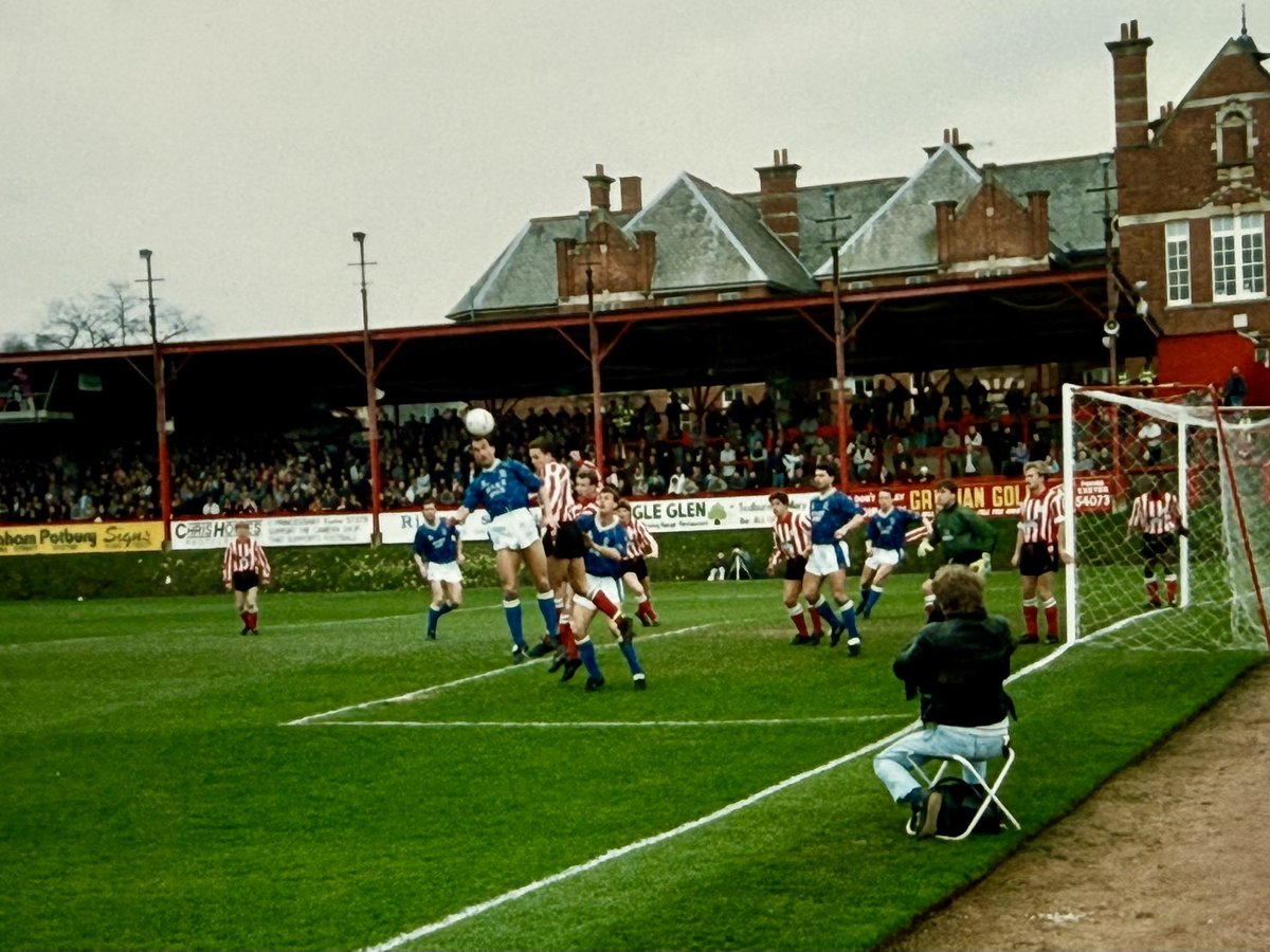 Robert Shelton tweet media