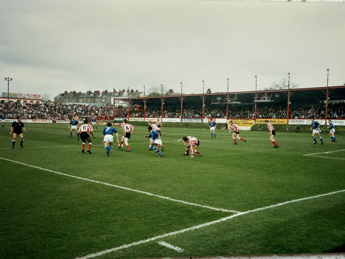 Robert Shelton tweet media