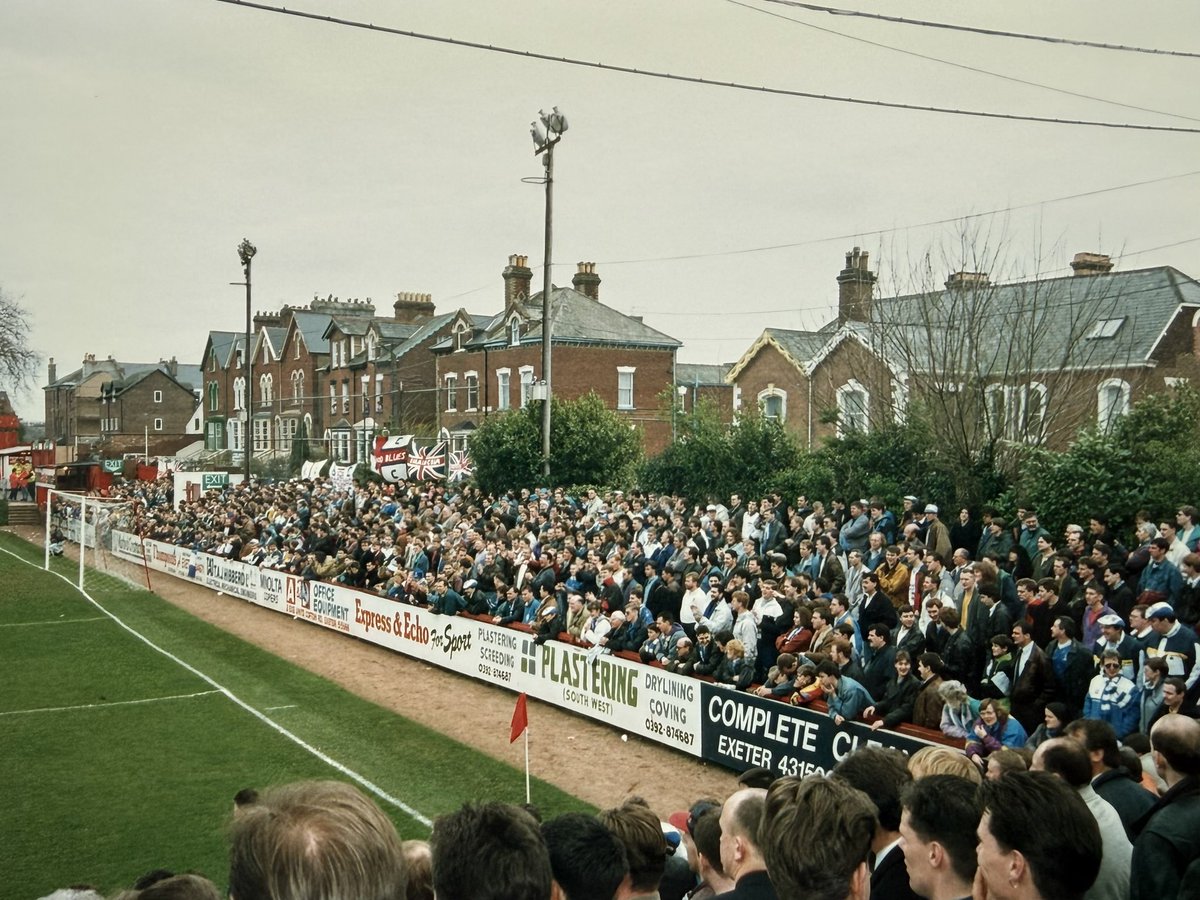 Robert Shelton tweet media