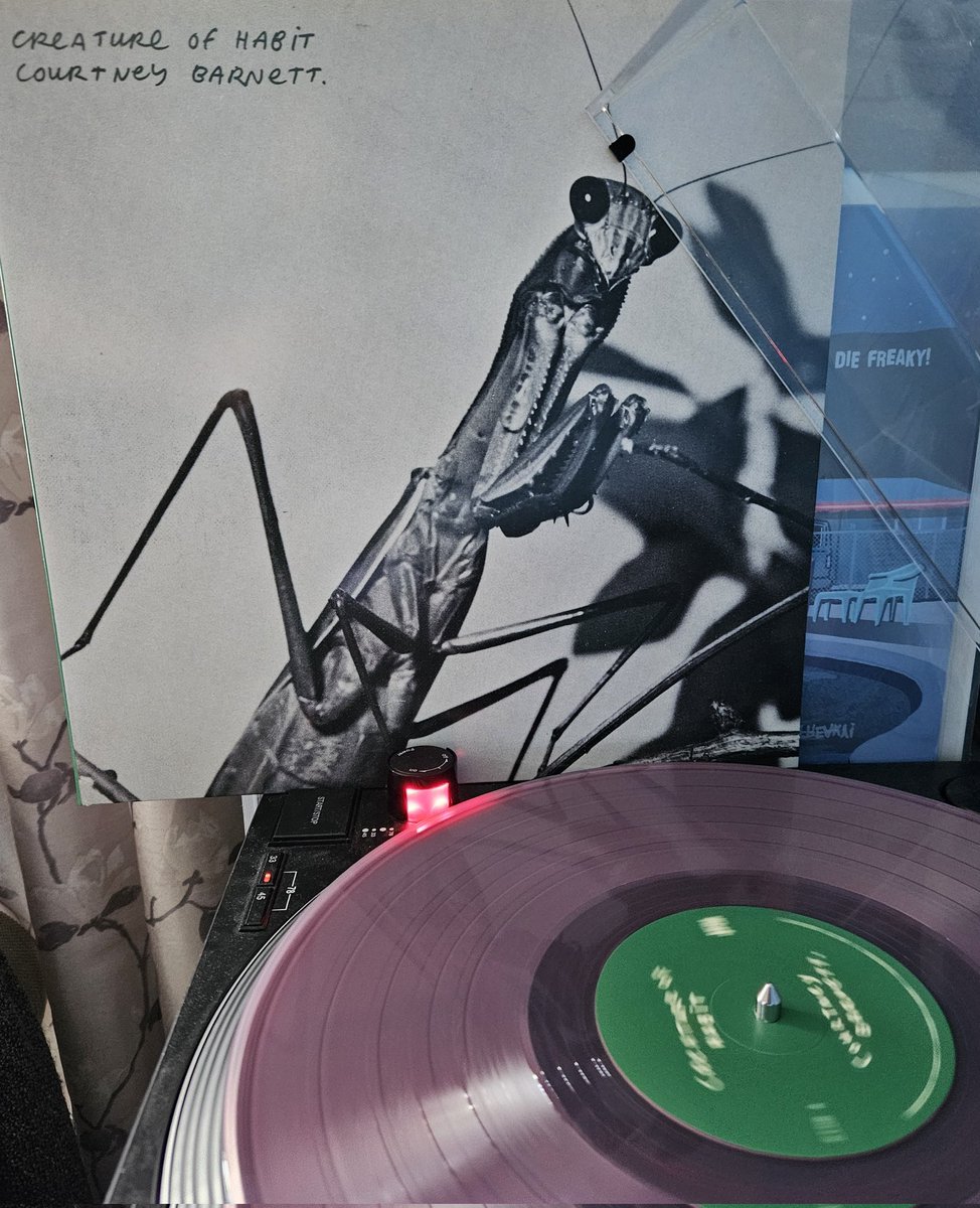 Kevin Blues () 💙 tweet media